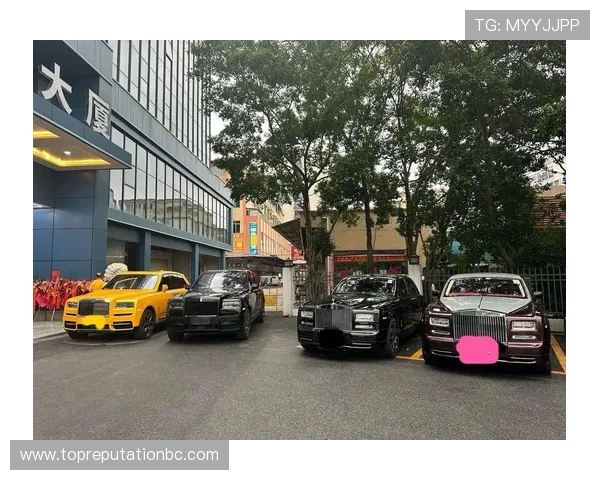 劳斯莱斯娱乐网：豪车收藏指南与投资价值评估专家解读