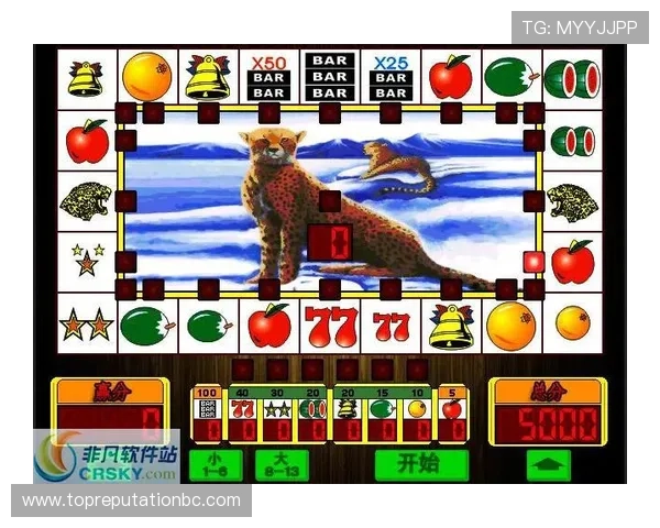 威龙国际娱乐：丰富的游戏种类涵盖老虎机、棋牌和体育博彩